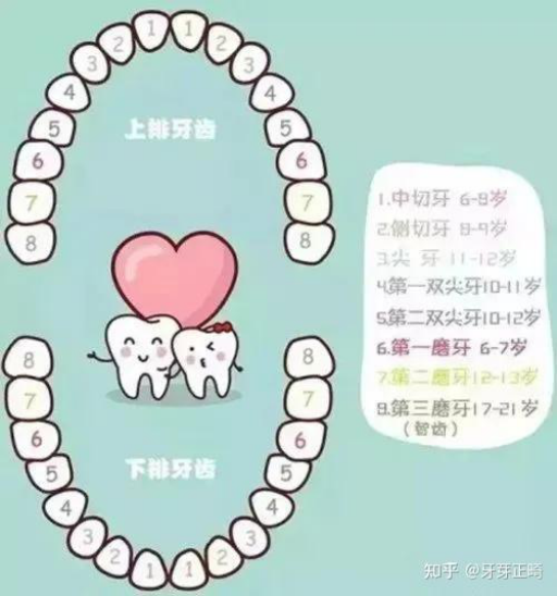 东莞国贸口腔正畸技术如何？在当地是否值得信赖，口碑和设备怎么样？
